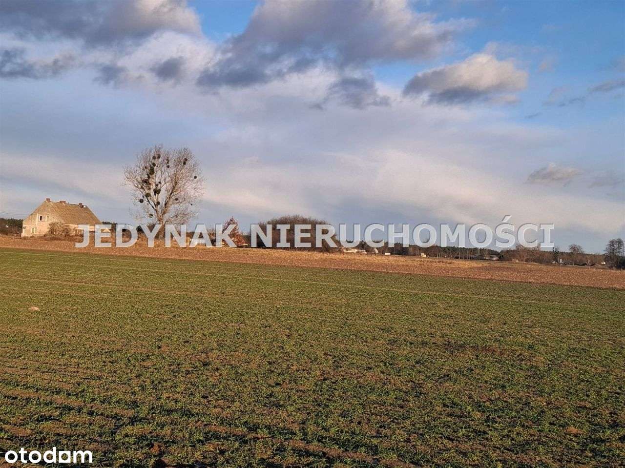 Działka, 1 000 m², Kruszyn Krajeński-1