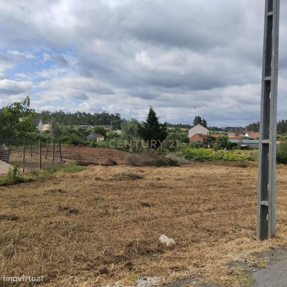 Terreno em Simões, Soure. - Grande imagem: 4/14