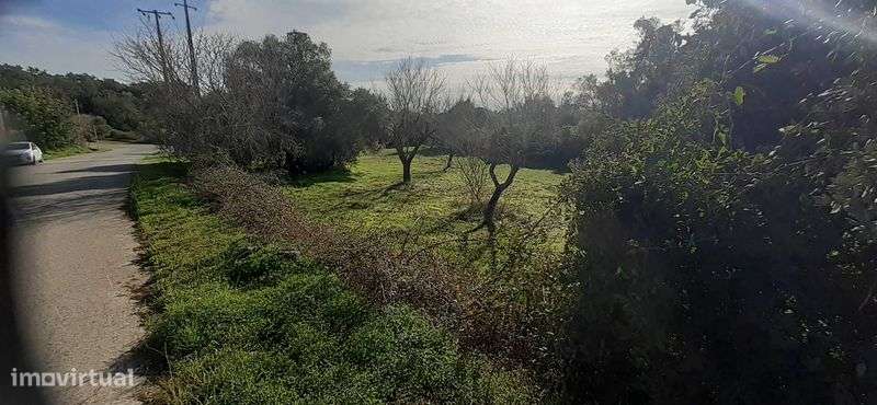 Terreno em São Brás de Alportel - Grande imagem: 4/7