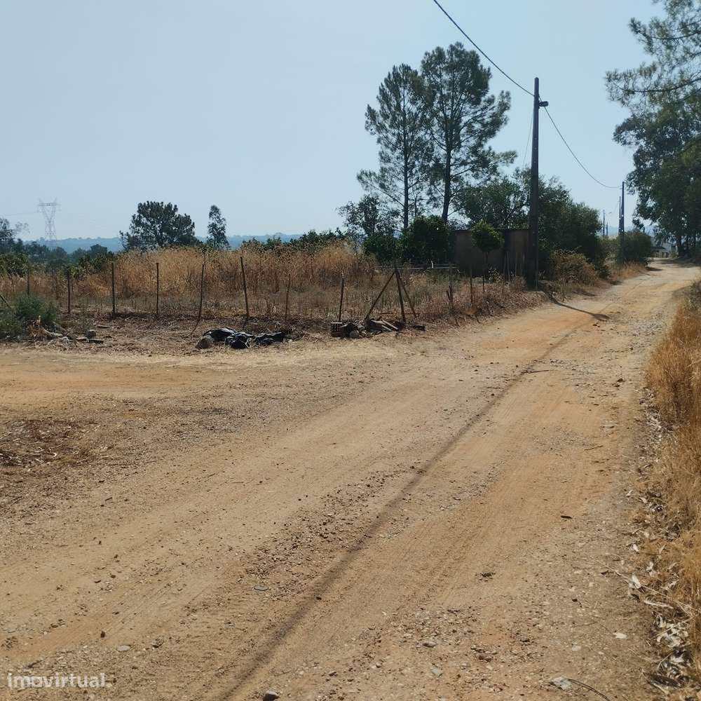 Terreno Agroflorestal em Chancelaria - Grande imagem: 4/18