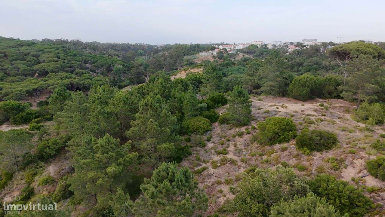Terreno Rústico com Vista Mar e Potencial Ecológico-15