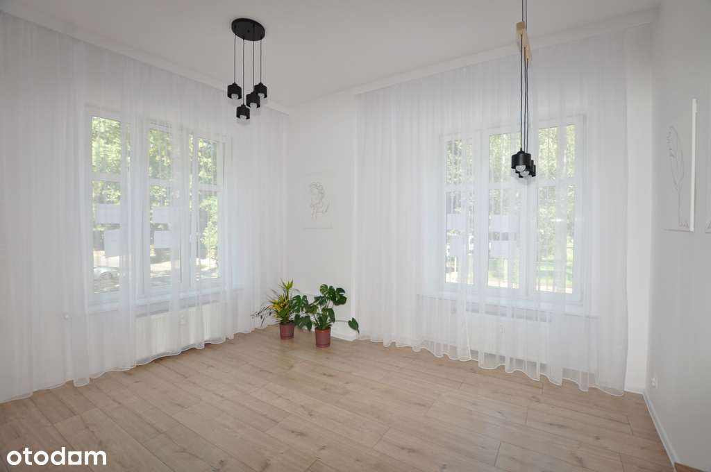 3 pokoje przy parku po kapitalnym remoncie - Pełny obrazek: 2/12