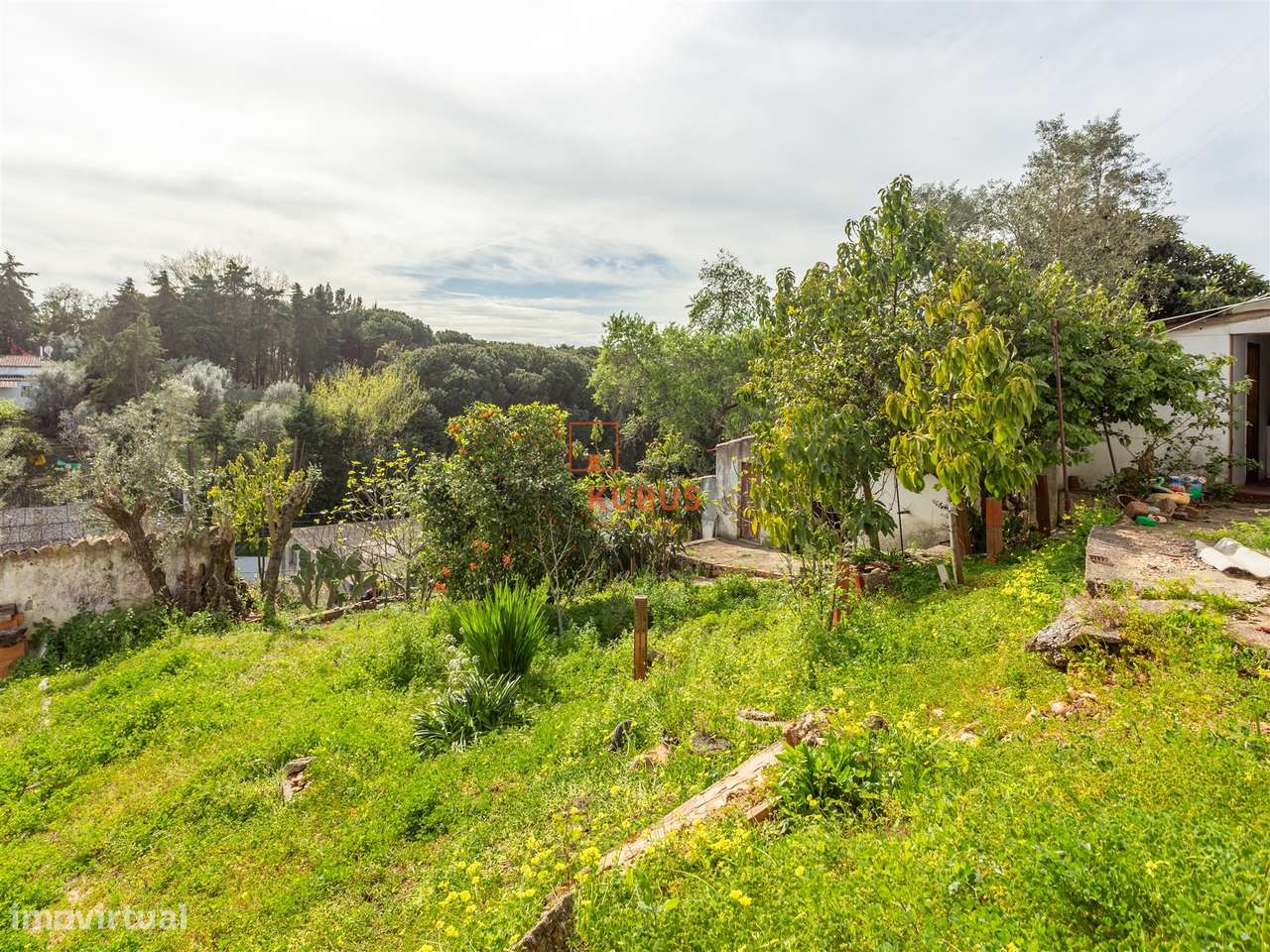 Moradia T3 Venda em Chamusca e Pinheiro Grande,Chamusca-14