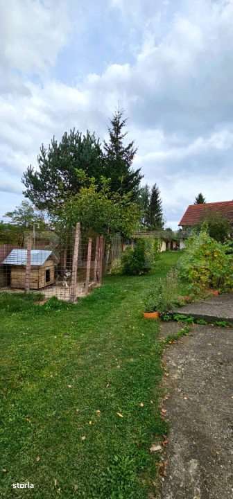 Casa deosebita, 3000 mp teren, 6 camere zona linistita - Barcani - Imagine principală: 5/15