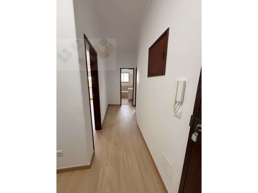 Ótimo T1 - Em fase de Remodelação total-14