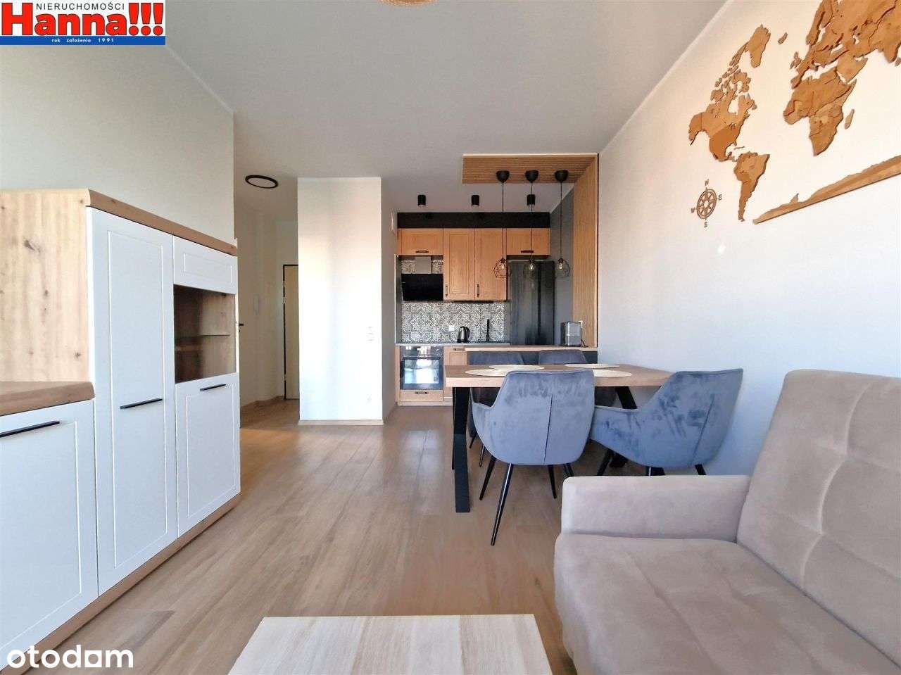 Wysoki standard. Garaż. Pruszcz Gdański - Domeyki. - Pełny obrazek: 2/13