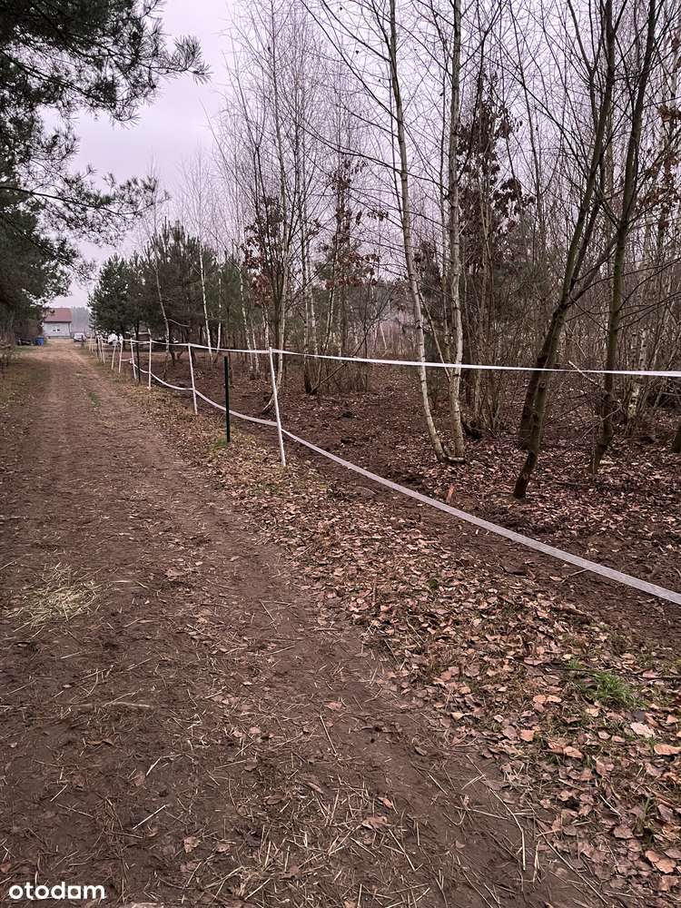 Dębinki działka budowlana 3000m2 - Pełny obrazek: 4/5