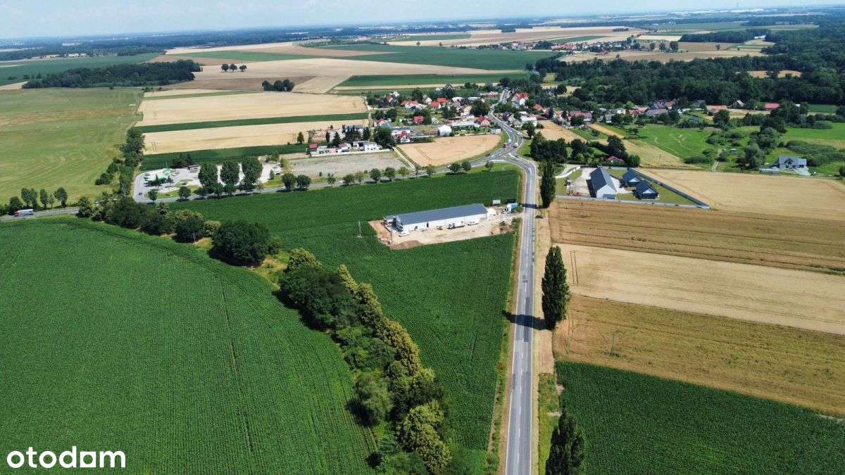 Działka 1,3ha inwestycyjne przy ruchliwej drodze - Pełny obrazek: 1/11