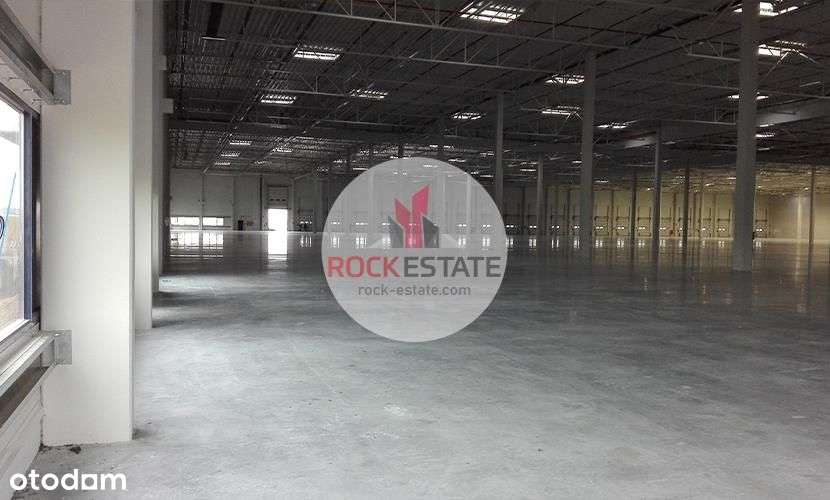 Magazyn 6000 m² od zaraz - 0% prowizji - Widok 2