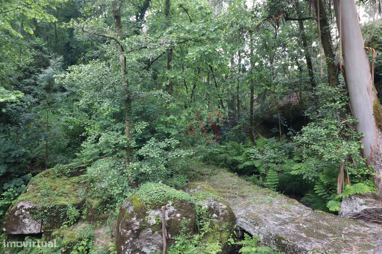 Moinho Transformado em T0 junto ao Rio – Refúgio na Natureza-11