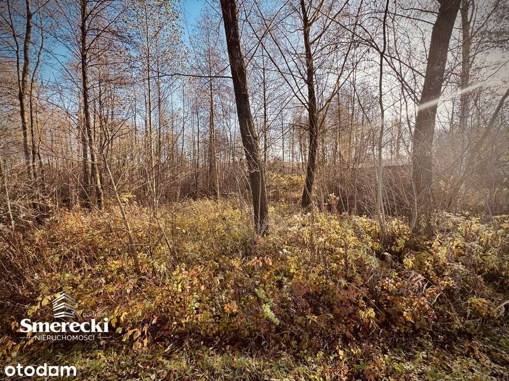 Działka  nad "Zalewem Zahorodyńskim" - Pełny obrazek: 3/7