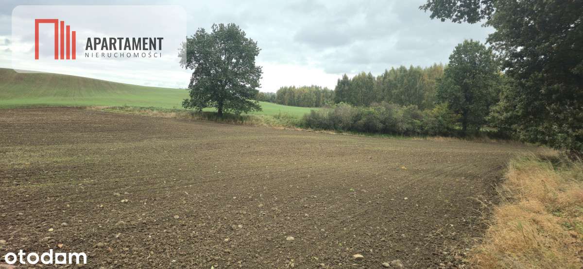 Działka w zielonej okolicy – 3000 m² - Pełny obrazek: 4/8