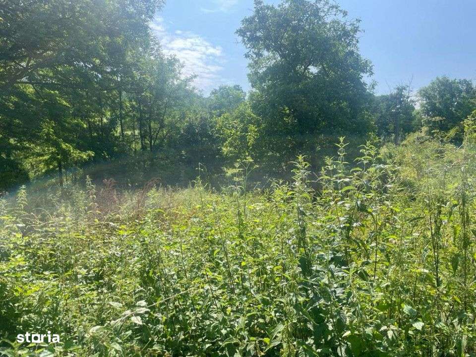 OPORTUNITATE INVESTITIE DASCALU, GAGU LANGA BALTA DE PESTE - Imagine principală: 2/3