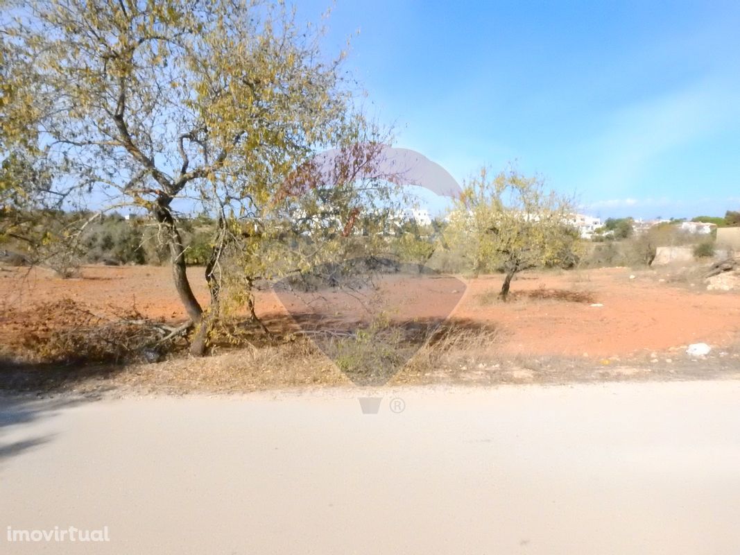 Terreno  para venda