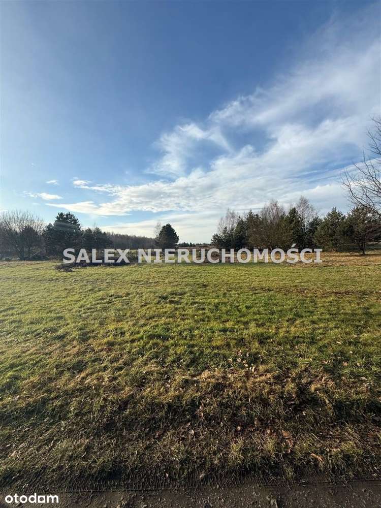 Działki budowlane pod lasem! prąd i woda w działce-4