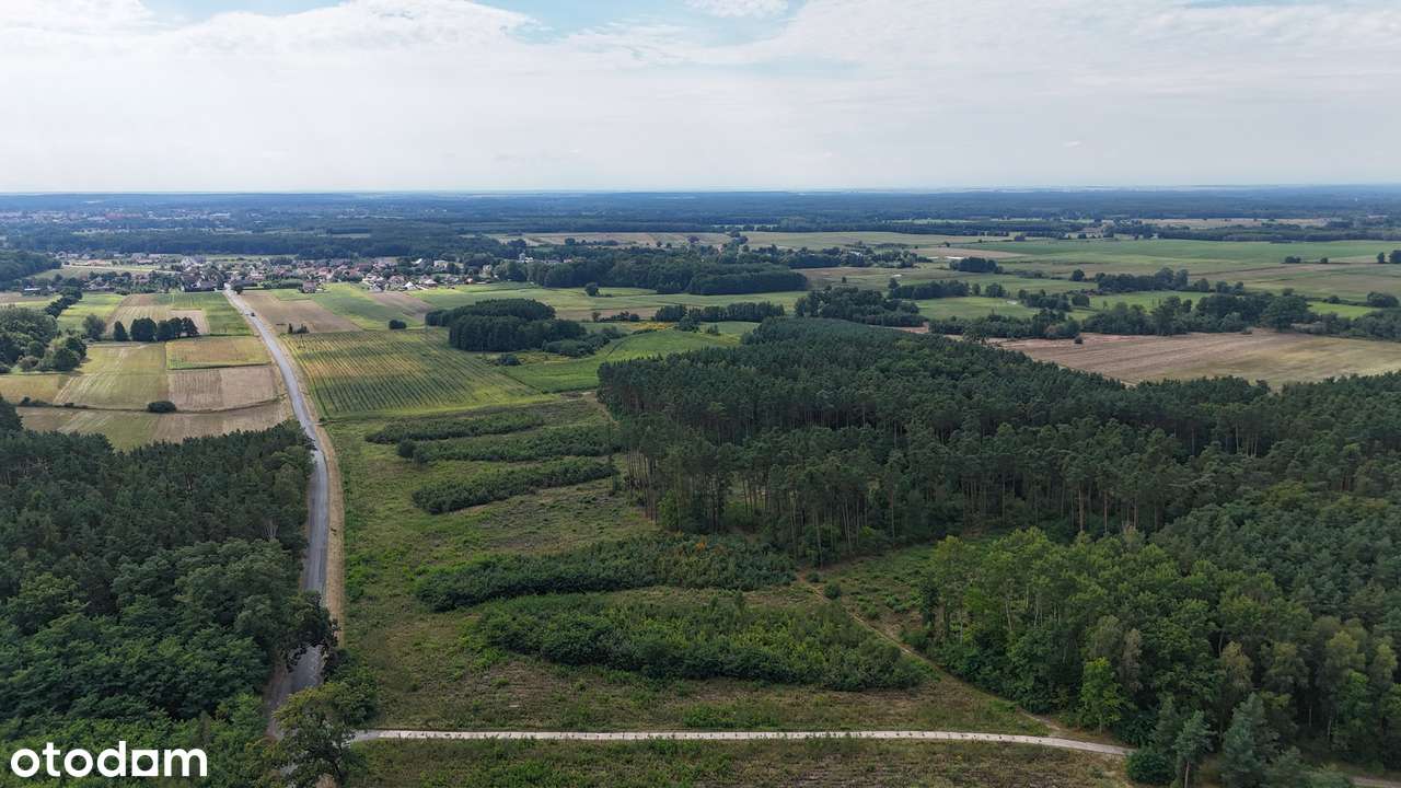 Osada Jagodowa | Działki rekreacyjne w środku lasu | od 500 m2-9