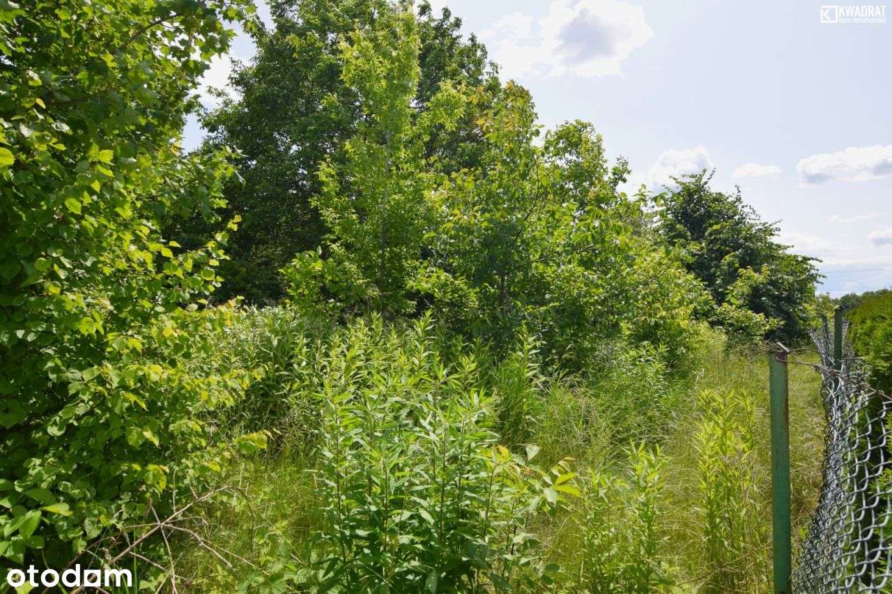 Tomaszowice Kolonia - 26 ar przy Nałęczowskiej - Pełny obrazek: 5/8