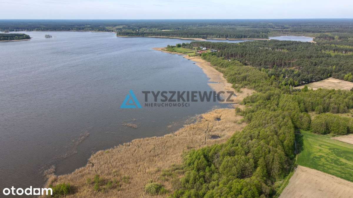 i jezioro i las - 2 w 1 na duuuużej działce - Pełny obrazek: 4/15