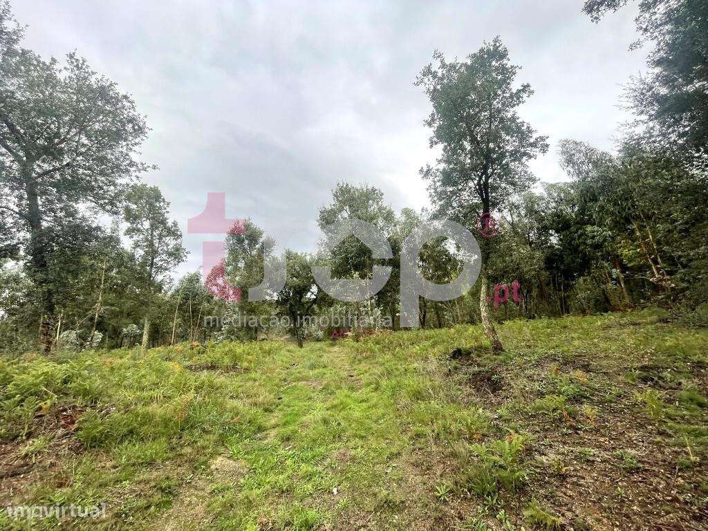 Terreno 22.600m2 Galegos S. Martinho - Grande imagem: 4/6