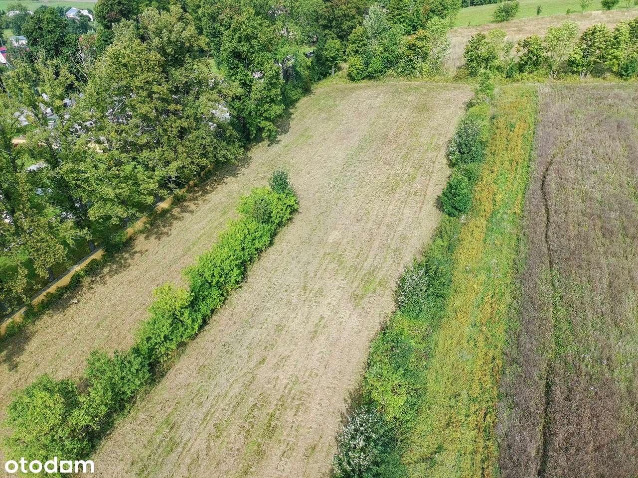 Działka rolna - rekreacyjna-0