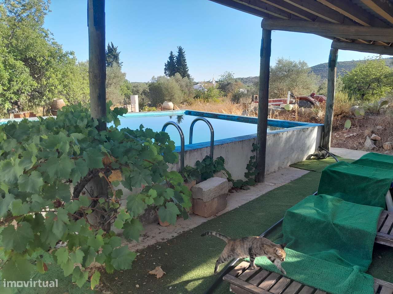 Moradia T3 C/ 10.000M2 Terreno C/ Furo-0