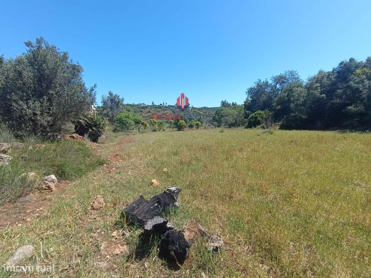 Quinta com 9 Hectares , junto ao rio Arade excelente investimento-10