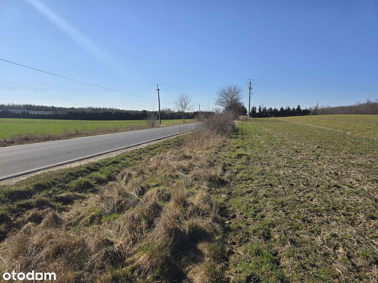 3 z 7 działek budowlanych w Lubiatówku-11