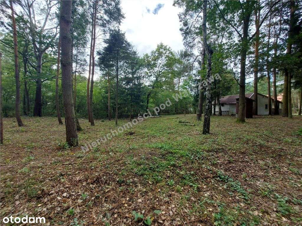 Cisza, Zieleń, Rzeka I Ona - Działka W Łosiu.-13