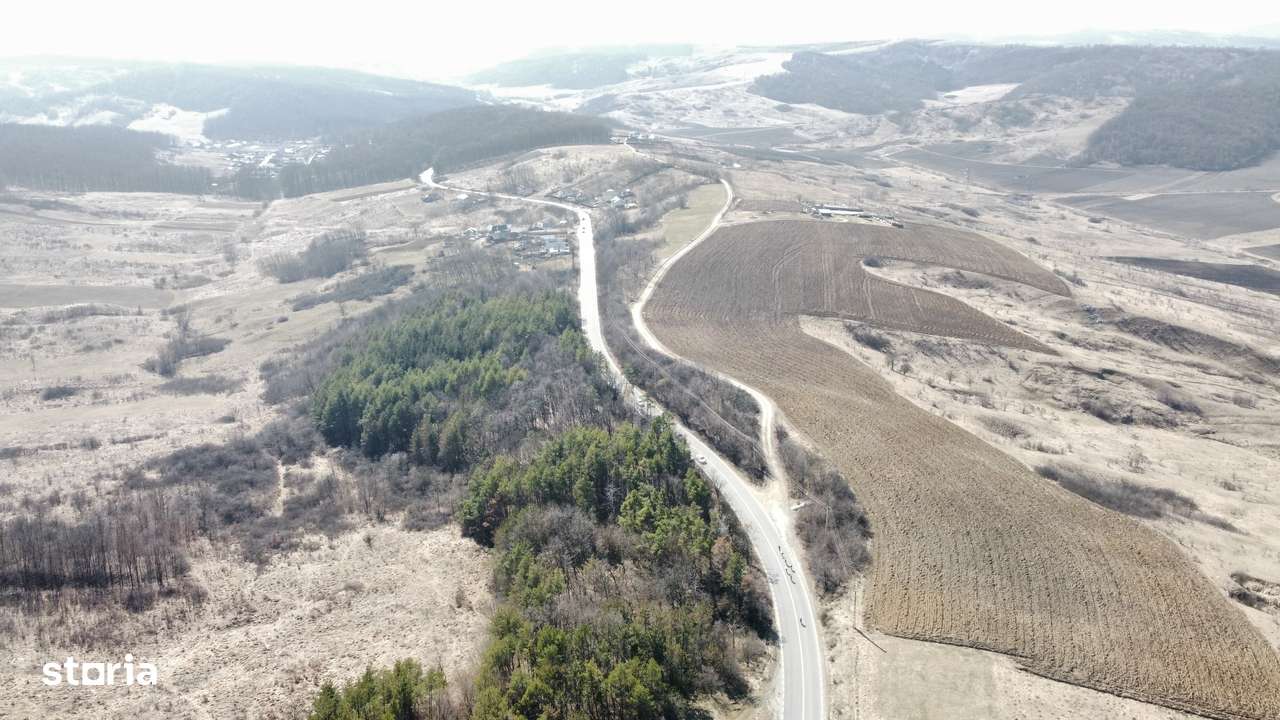 Teren 10000 mp Sanduleni-9