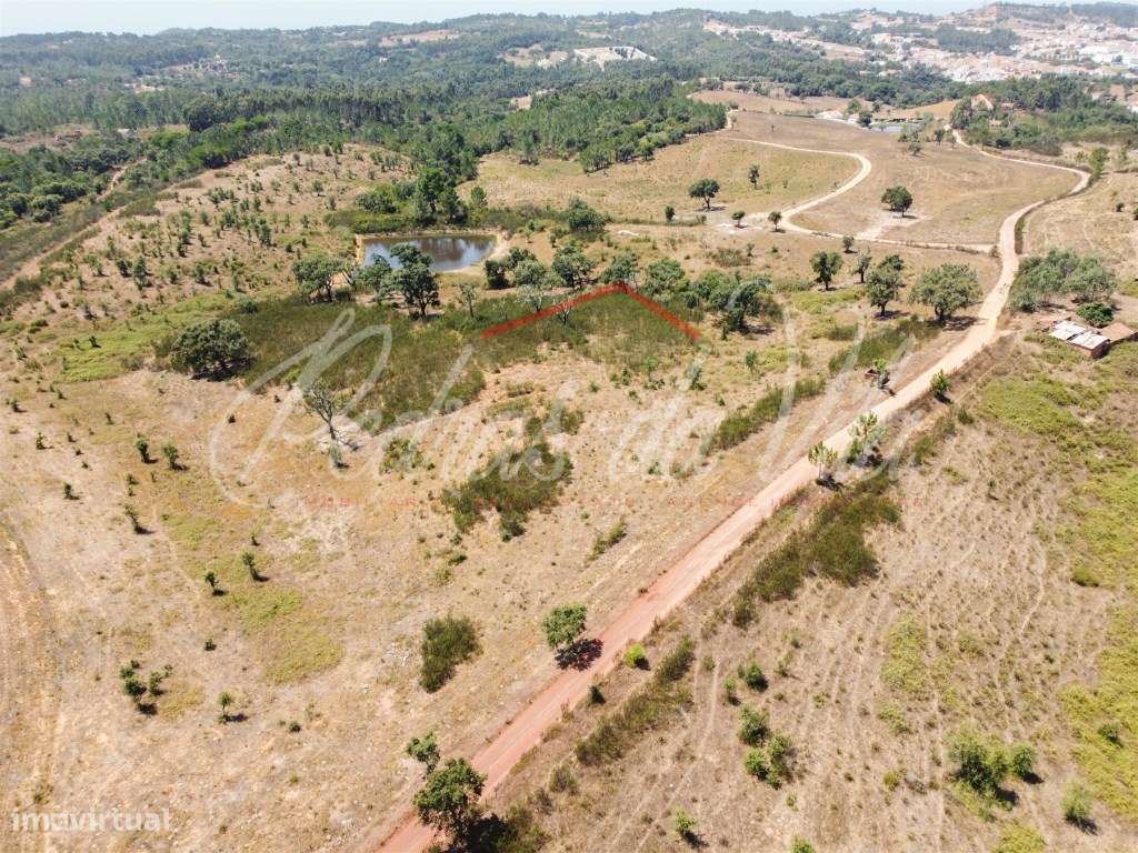 Quinta de 25ha com projeto aprovado - São Teotónio - Odemira-13