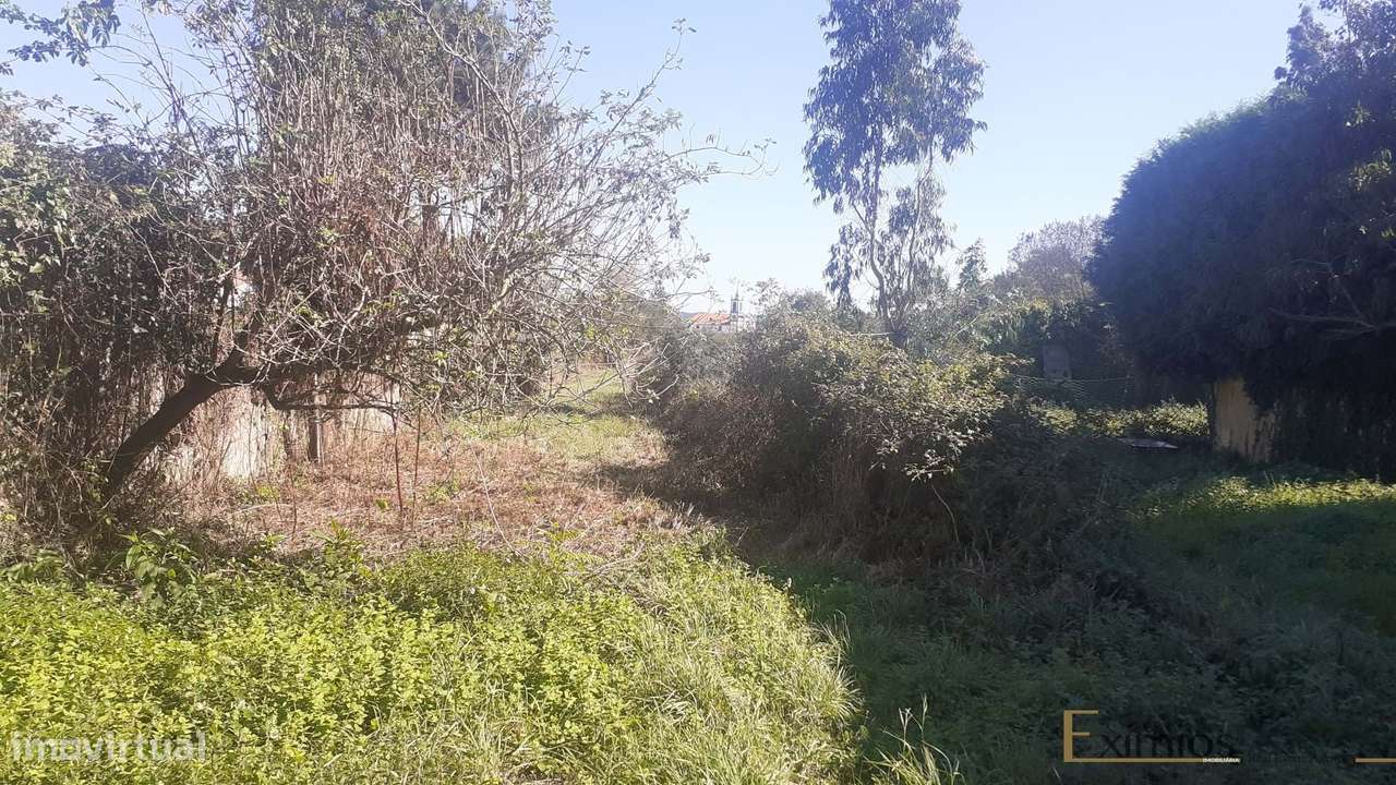 Terreno com uma área de 2880 m2, em Argivai - Grande imagem: 3/7