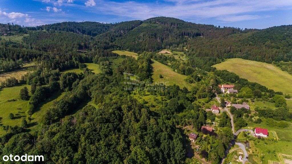 Działka W Górach 3,3ha Podzamek | Kłodzko | - Pełny obrazek: 4/11