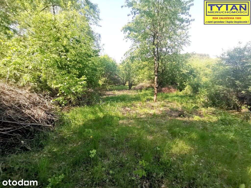 Działki W Zosinie Z Możliwością Budowy-16