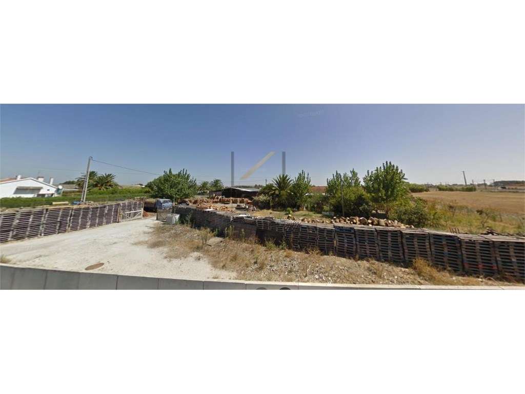 Terreno misto com 30.770 m2, com 3 moradias para recuperação total ... - Grande imagem: 5/6