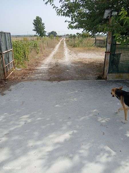 Vendo terreno rústico - Grande imagem: 5/12