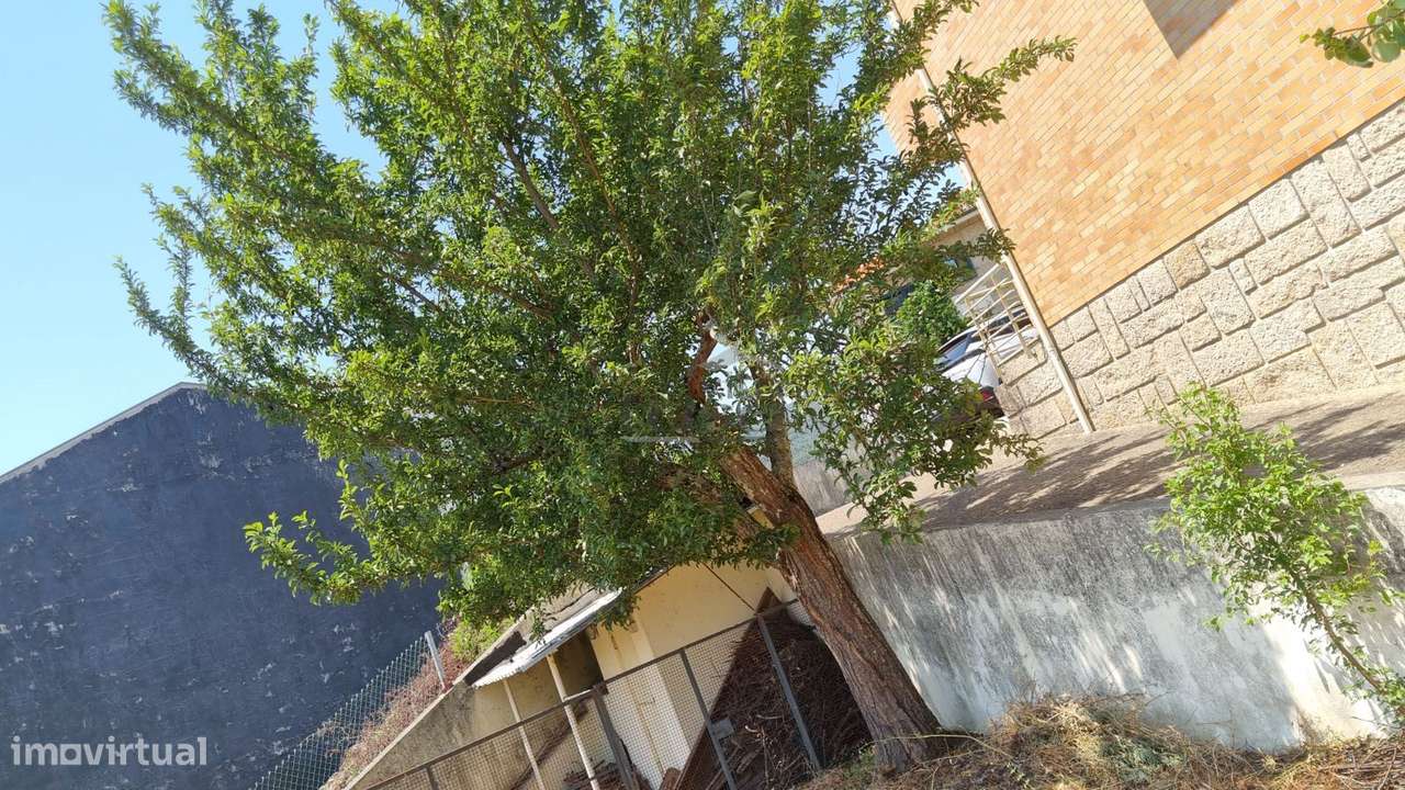 Moradia T3 + escritório, em Campo, Valongo, (ao cruzamento do Pe Am...-23