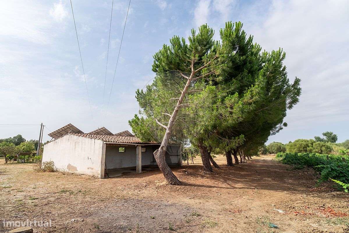 Quinta T8 para venda-38