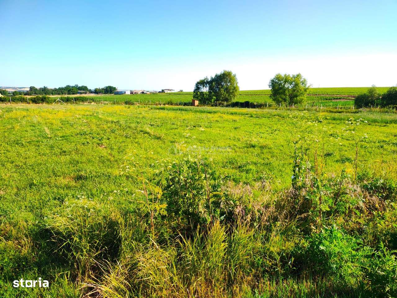 Teren 18.247 mp cu balta de pescuit – Misca, Comuna Chislaz, Bihor-7