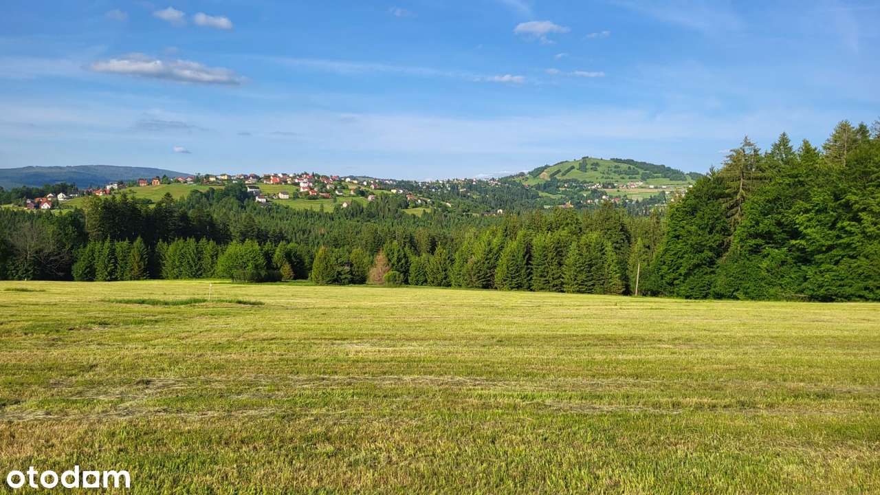 Duża działka budowlana, 11500 m2, Jaworzynka - Pełny obrazek: 4/14