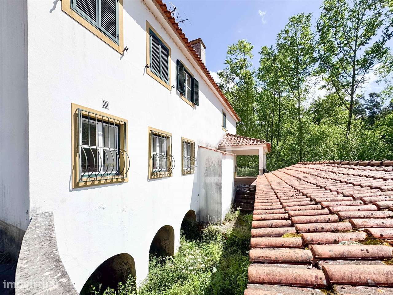 Quinta dos Velhos Moinhos - 7 Hectares! - Grande imagem: 4/36