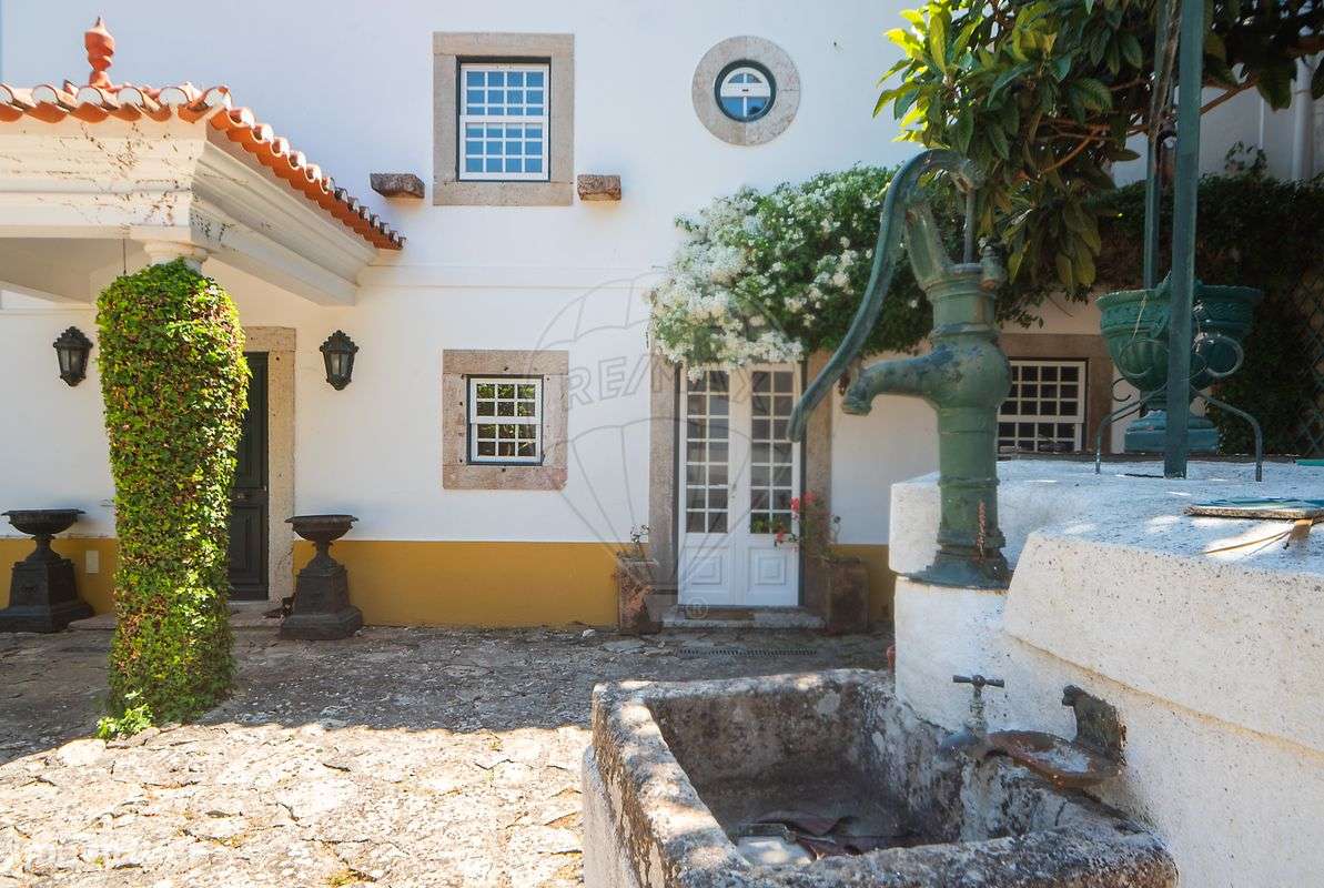 Quinta T7 para venda - Grande imagem: 4/50