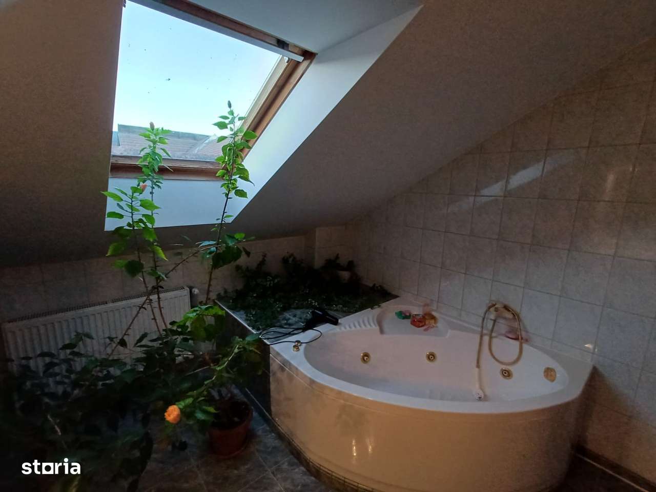 Casa de vanzare Codlea 299.00 euro - 7 camere,300 mp -  834 mp curte.-18