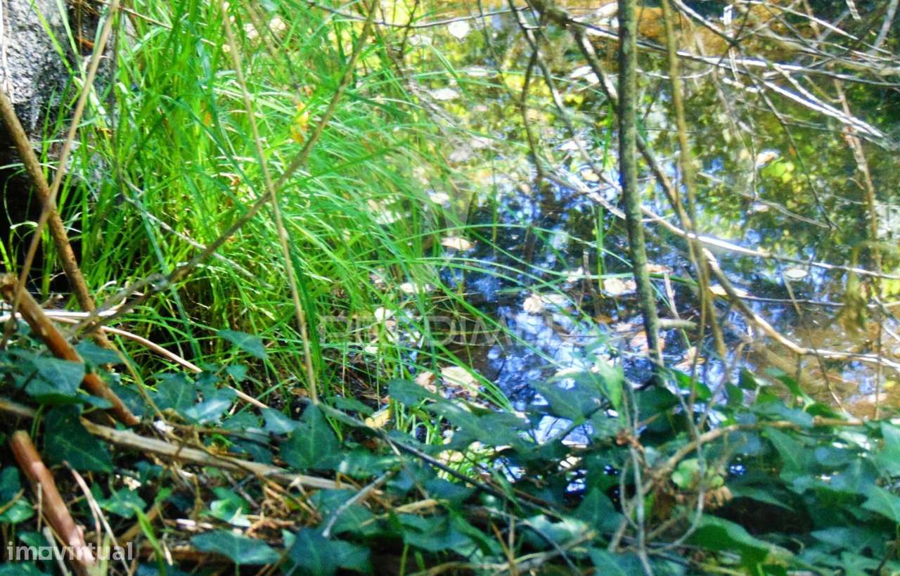 Terreno com 2 Ha junto à E322 em Alijó / Vila Real - Grande imagem: 5/25