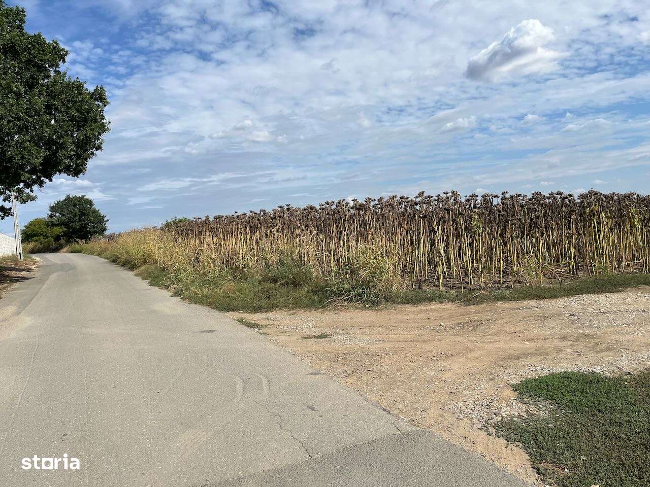 Parcele teren rezidential Moara Vlasiei-10 min de Bucuresti - Imagine principală: 3/3