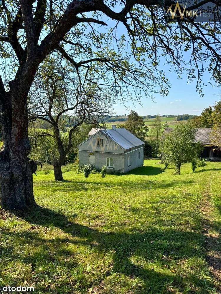 Dom z potencjałem i dużą działką w Lubczy!-7