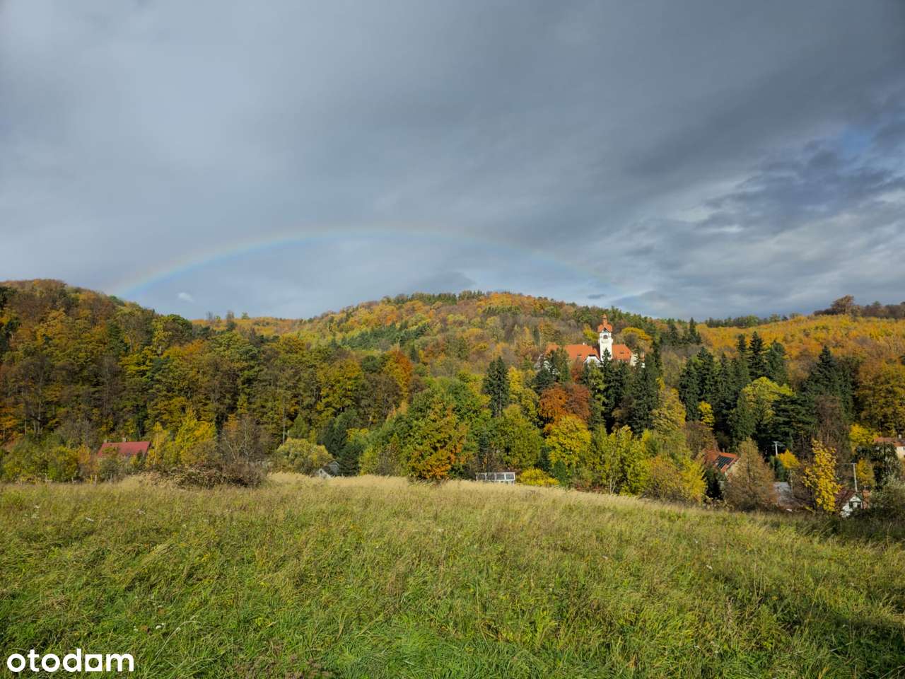 4 Działki przy lesie z widokiem na Góry Sowie-18
