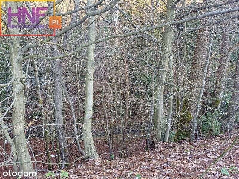 Działka w Gaboniu 18ar z dostępem do potoku - Pełny obrazek: 5/15