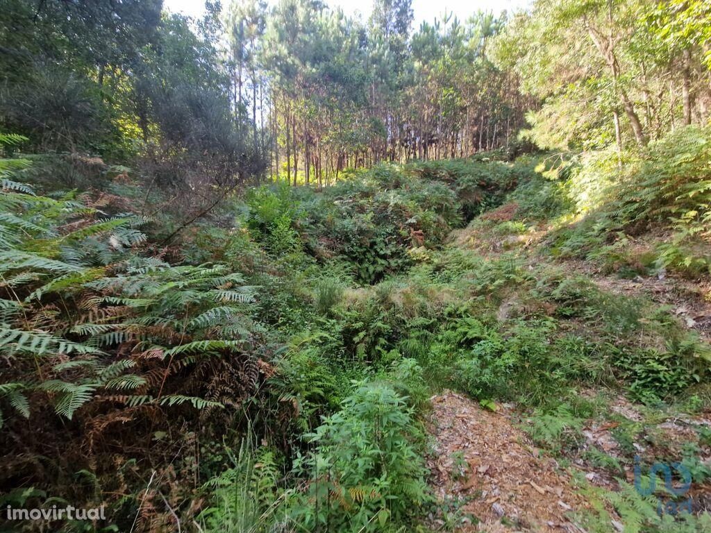 Terreno Agrícola em Viana do Castelo de 530,00 m2