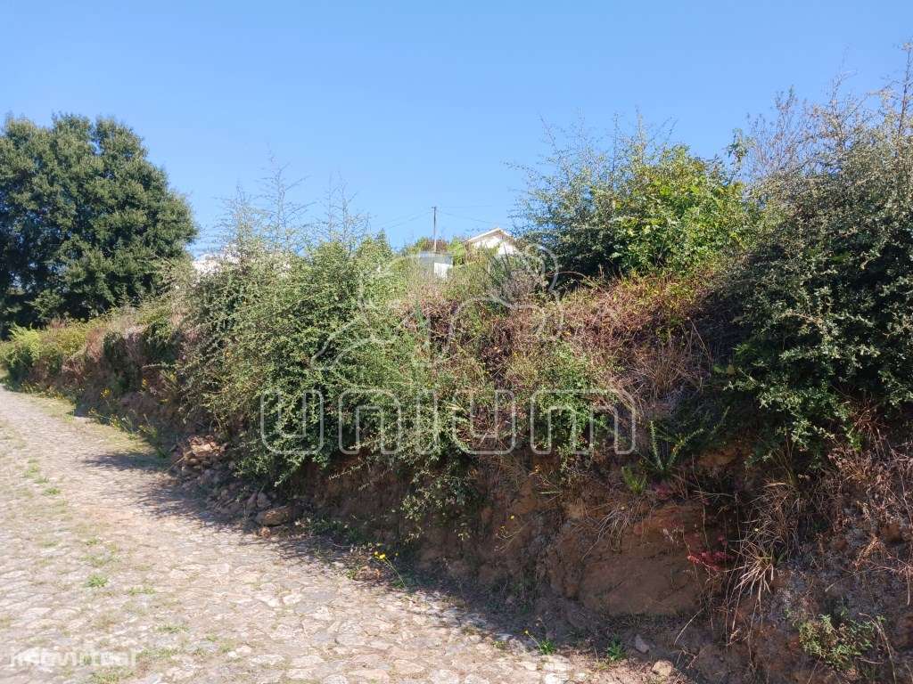 Oportunidade para Investidores - Grande imagem: 3/6