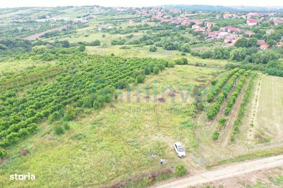 Gaminvest Teren intravilan de vanzare in Saldabagiu de Munte, V3183 - Imagine principală: 1/3